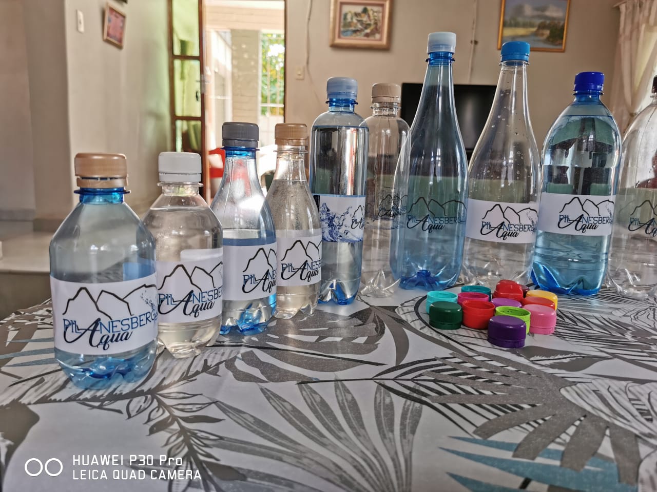 Pilanesberg Aqua Water Bottles